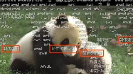 网络配图 网络配图