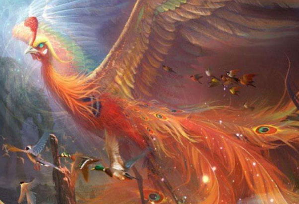 网络配图 网络配图